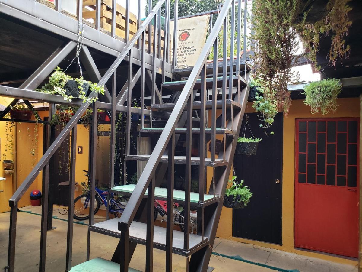 Parrot House Bed & Breakfast Antigua Bagian luar foto