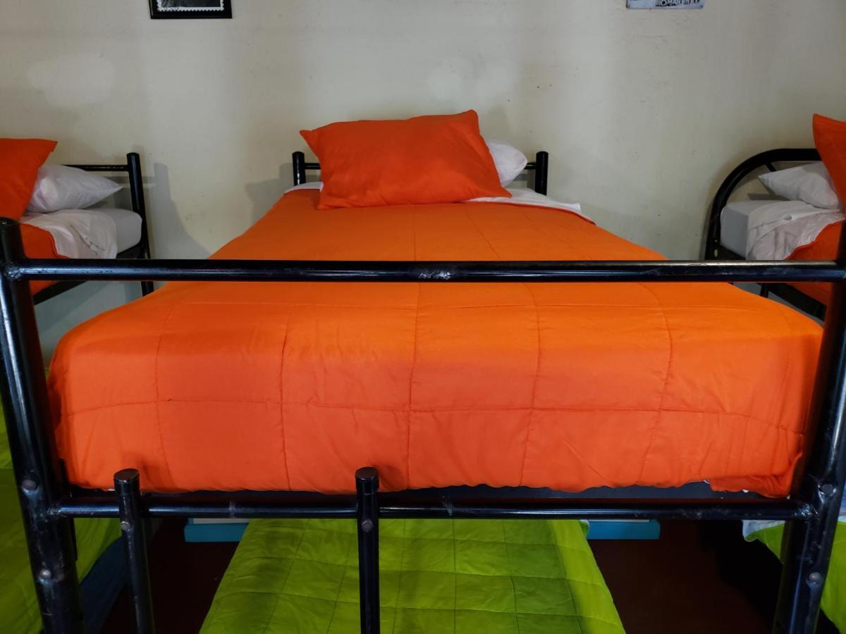 Parrot House Bed & Breakfast Antigua Bagian luar foto