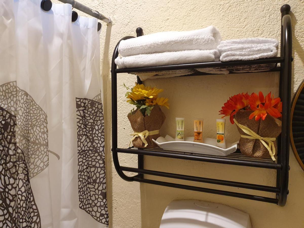 Parrot House Bed & Breakfast Antigua Bagian luar foto