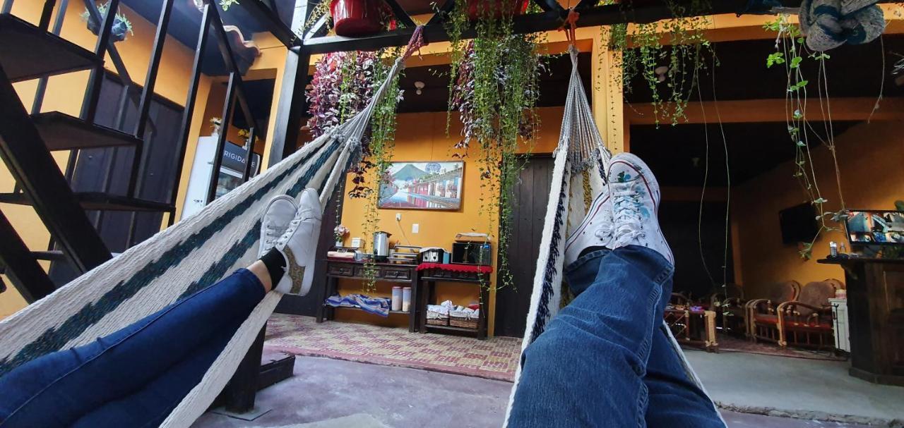 Parrot House Bed & Breakfast Antigua Bagian luar foto
